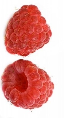 http://www.esulda.com/images/framboise.jpg